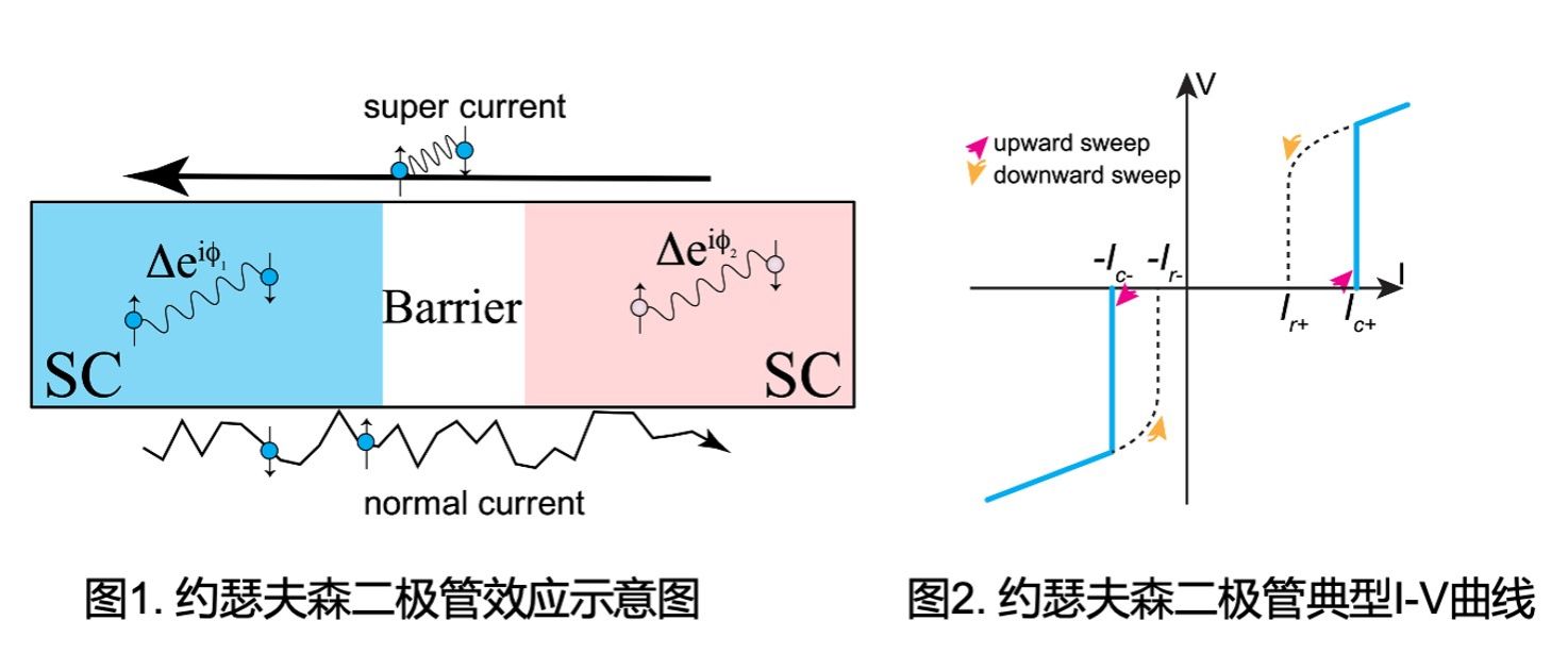 20221109-52.jpg 20221109-52.jpg